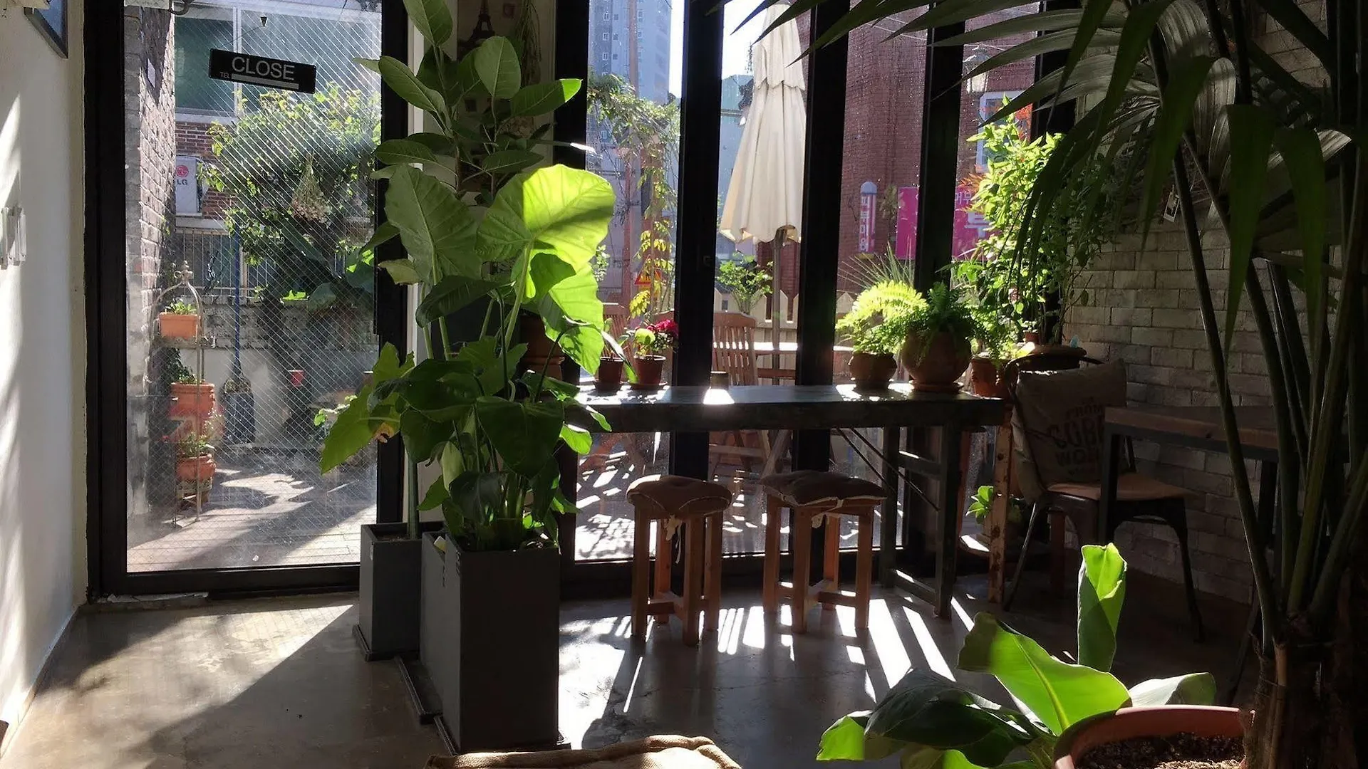 Hostel White Island Bed & Breakfast South Korea